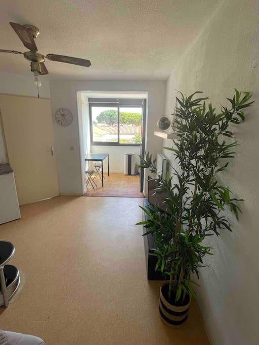 Appartement Port Leucate Zewnętrze zdjęcie